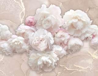 Фотошпалери Білі півонії з рожевим флюїдом 24011