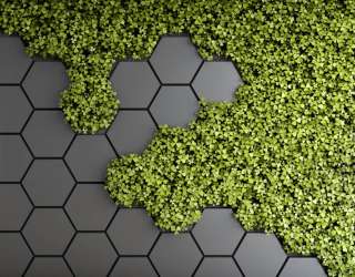 Фотошпалери шестикутники з зеленню 28506