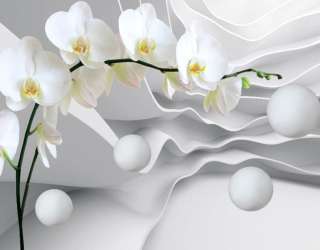 Фотошпалери 3Д орхідея 19886