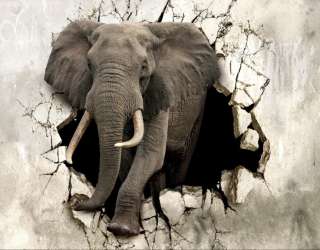 Фотошпалери Слон 15979