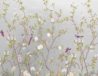 Фотообои Шанаруази на серебрянном фоне 22553