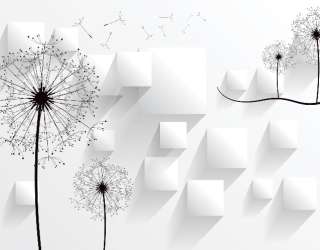 Фотошпалери Кульбаби 15981