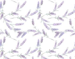 Фотообои Акварельные ветки лаванды 22702