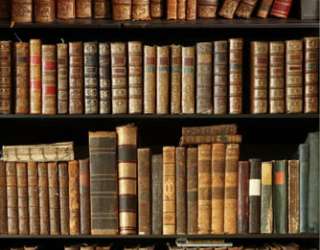 Фотошпалери Книжкові полиці 24890