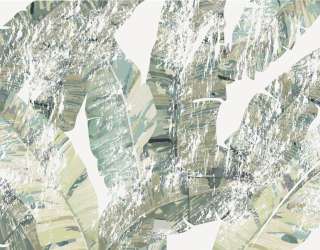 Фотошпалери Бананові листя з потертостями 22118