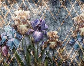 Шпалери Дизайнерські іриси 23816