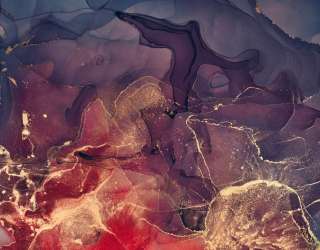 Фотошпалери Золотий Fluid art з фіолетовим 25277