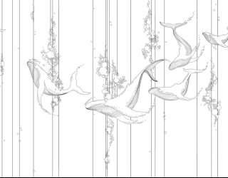 Фотошпалери кити, лінії 26157