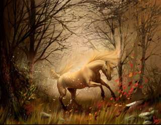 Фотошпалери Кінь у лісі 0464