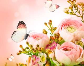 Фотошпалери Півонії 12841