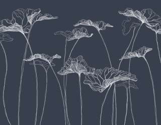 Фотошпалери квіти лінії 26190_1