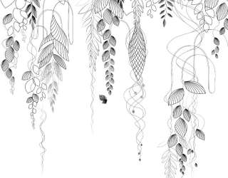 Фотошпалери листя зі стелі 26764