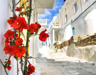 Фотошпалери Вуличка у Греції 3445