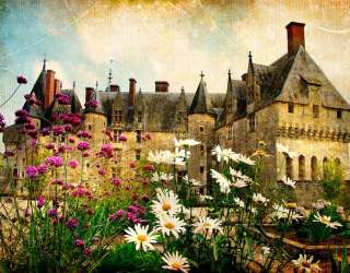 Фотошпалери Замок в глушині 1264