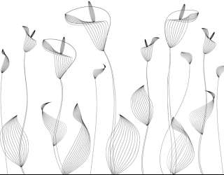 Фотошпалери квіти лінії 24324_1