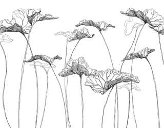 Фотошпалери квіти лінії 26191